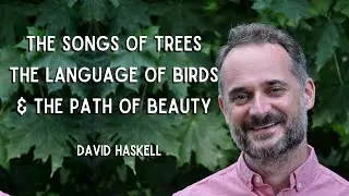 The Songs of Trees, The Language of Birds & The Path of Beauty | David Haskell