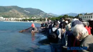 Sestri Levante Rievocazione Storica Pesca con la Sciabica