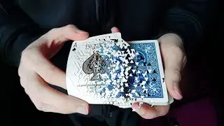 The Cleanest Card Vanish Ever (Pro Magician Secret Revealed)