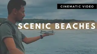 Scenic Beaches of Sydney CINEMATIC | Road Trip Australia