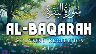 Surah Al-Baqarah (سورة البقرة) | Most Beautiful & Relaxing Quran Recitation | Basair TV