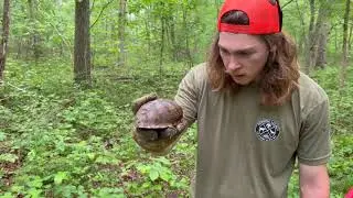 WE BOUGHT A FARM | '38 Special' Property Tour | TWO ABANDONED HOMESTEADS