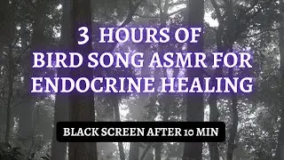 Birdsong ASMR For Endocrine Healing - 3 hr