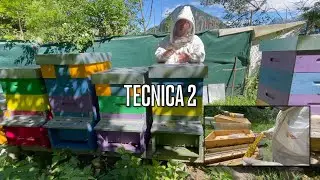 Combattiamo la varroa con astuzia parte 2