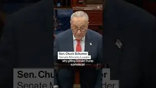 Schumer calls Qatari gift of jet to Trump corruption #bloomberg