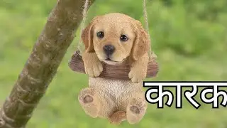 RHT OSSTET HINDI KARAK PART1 #an_education_unit