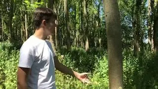 BBC Earth Presenter Search Application