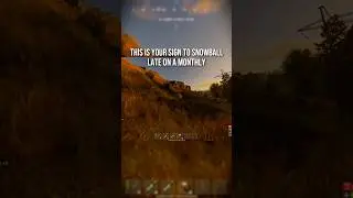 У них просто закончились компиляторы #rust #rustconsole