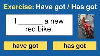 Exercise: Have Got and Has Got | Grammar Quiz