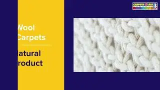 Find the right carpet