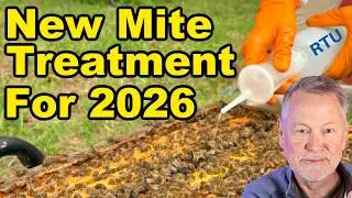 Beekeeping: New Mite Treatment, Yellow Leg Hornets & More