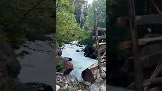 Utror Valley Swat | Kpk Pakistan  #nature #youtubeshorts #shorts #viral