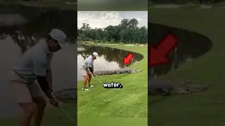 How Golf Ball Divers Make Hundreds Every Day