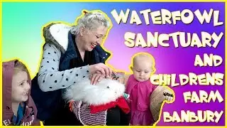 waterfowl sanctuary and childrens farm hook norton nr banbury