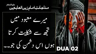 Dua 02 - Faryad Karny Walo ki Munajat  - Imam Zain ul Abideen (as) ki Munajat #holyquotes