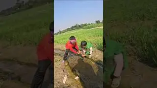 Fishing skill level up #fishing #fishinglife #shorts for real life experiment with the Fish