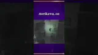 Woman in the Closet