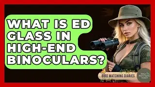 What Is ED Glass In High-end Binoculars? - Bird Watching Diaries