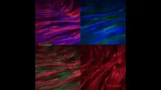 Proyector de luz led aurora borealis