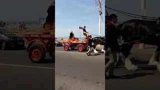 Unique Horse and Cart for Thwaites Brewery at Blackpool Pride