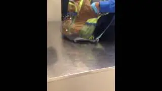 TSA searches my bag of Rubik's Cubes