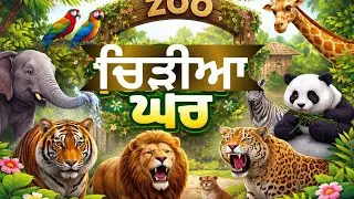 ਦੇਖੋ ਸ਼ੇਰਾਂ ਦਾ ਭੰਗੜਾ। Chhatbir Zoo Banur | Chandigarh Lion Safari | Chhatbir Zoo |  Punjab de heere