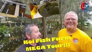 Chevy's Quality Koi Fish Farm MEGA Tour!!!