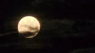 Diamondz n Roses - VaporGod (reverse start)