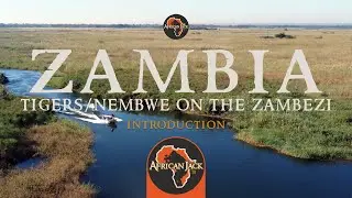'Fishing for Tigers and Nembwe in Zambia' with African Jack Safaris (Introduction Teaser)