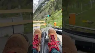 POV you ride a Swiss mountain coaster! #travel #jungfrauregion #foryou #alpineadventure #switzerland