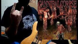 Cannibal Corpse - Crucifier Avenged - live bedroom bass cover #cannibalcorpseofficial