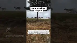 RVing Natural Bridge Virginia #fulltimerv #fulltimerving #fulltimervfamily #rvlife #naturalbridge