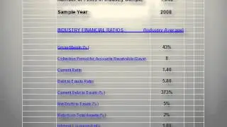 BPP Premium Retail Industry Financial Details