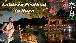 Summer Nights in Nara, Japan 🏮 Tokae Lantern Festival + Famous Deer 🦌✨