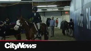 Royal Agricultural Winter Fair celebrates its opening day