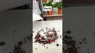 Sadece Bah&ccedil;e toprağı ile bitki i&ccedil;in yeterli değildir. #toprakkarışımı #perlit #cocopeat #short