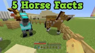 Minecraft Xbox 360 / PS3 - 5 Cool Horse Facts