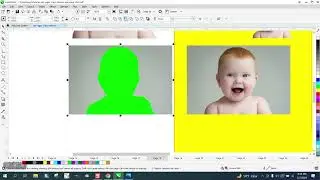 Corel Draw Tips & Tricks Remove background from a photo 2 ways