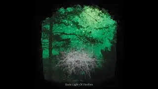 BASARABIAN HILLS - Eerie Light Of Fireflies