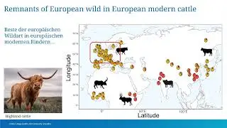 Conor Rossi - Ancient DNA and Ice Age wild cattle