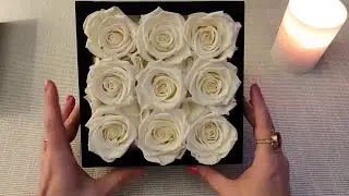 ASMR Whispering Review 🤍  Essential Ivory Black Velvet Preserved Roses