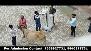 RR Veterinary College Rajasthan | B.V.Sc & A.H Admission 2025 | VCI Approved Veterinary College