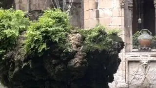 Cloister of cathedral La Seu Barcelona