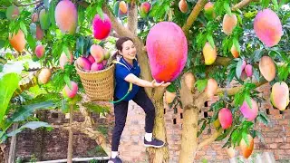 Harvest Huge PINK MANGO Go to market sell - Palitaw Recipe - How to Make Floating Rice Cakes