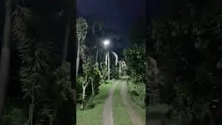 So bright at night in the farm #farming  #solar #light