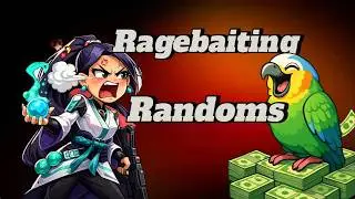 Rage Baiting Randoms in Valorant (im a pro)