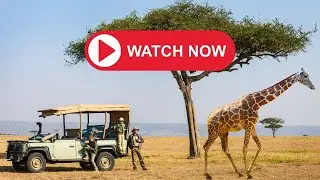 20 MINUTES - Mindful Moments [SAFARI] #Peace #Calm #Relax #BeMindful #TakeABreak #Breathe