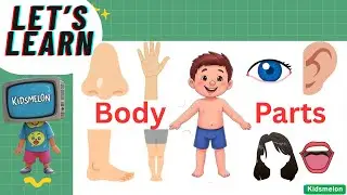 Learn your Body parts name| Name of body parts in English | @Kidsmelon2 