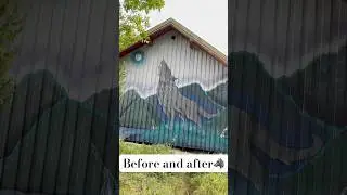Wolf Mural Transformation: From Blank Wall to Spray Paint Masterpiece #wolf #graffiti #spraypaint