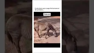 New innovation to amaze you #animals #science #trending